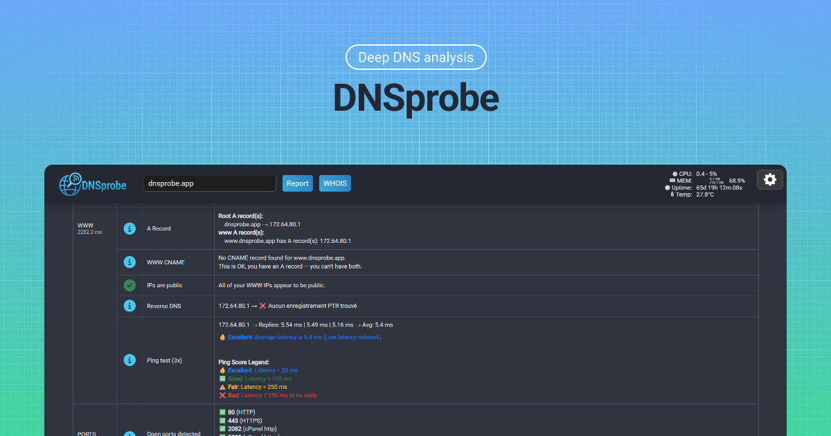 DNS Checker and DNS Test Tool - DNSprobe