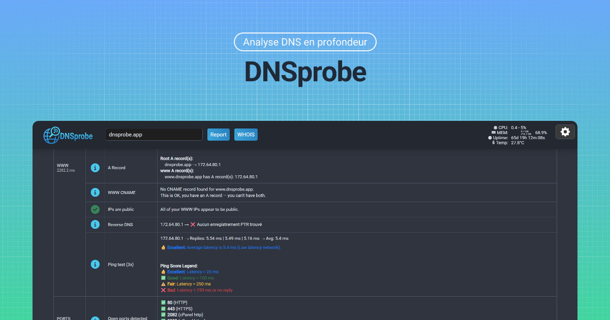 Testing Dns Connectivity DNS Checker et outil de test DNS - DNSprobe